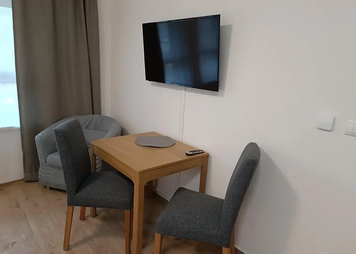 Mlynska Apartment *